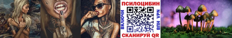 закладки  Новоалтайск  Псилоцибиновые грибы Magic Shrooms 