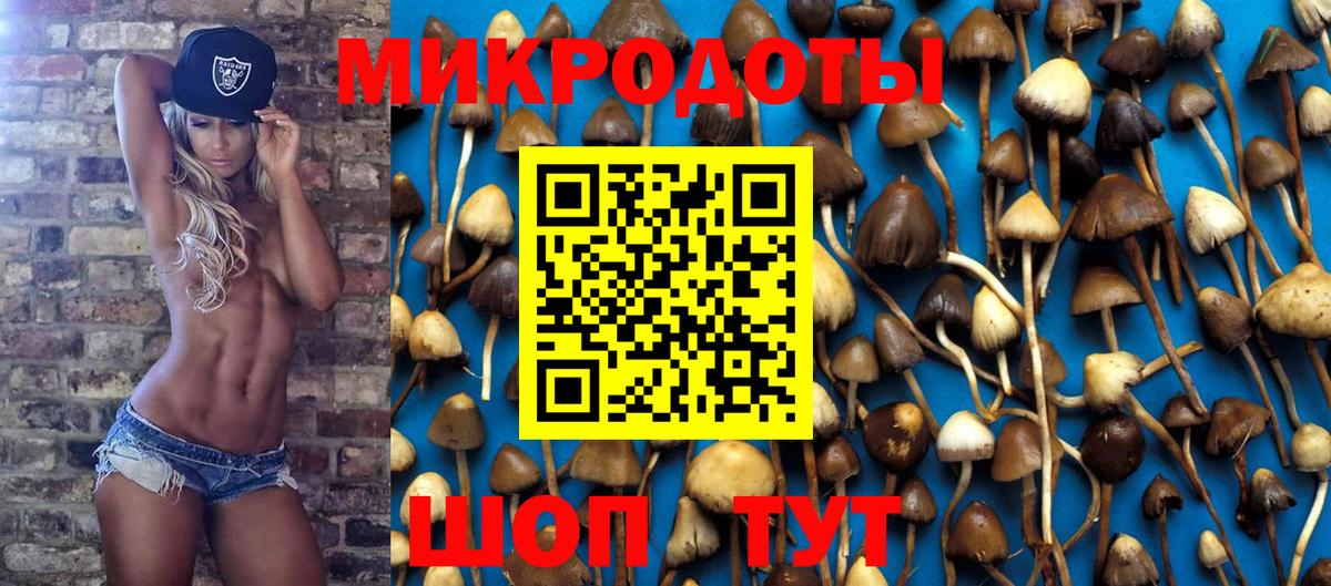 Новоалтайск  Галлюциногенные грибы GOLDEN TEACHER  Псилоцибиновые грибы ЛСД  Вход с VPN 